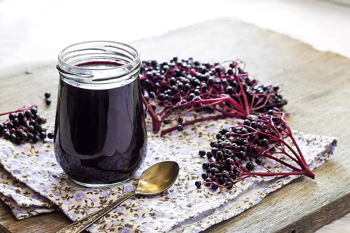 Fresh Elderberry Cuttings - 5 Black Bearing Sambucus nigra for Home Gardening