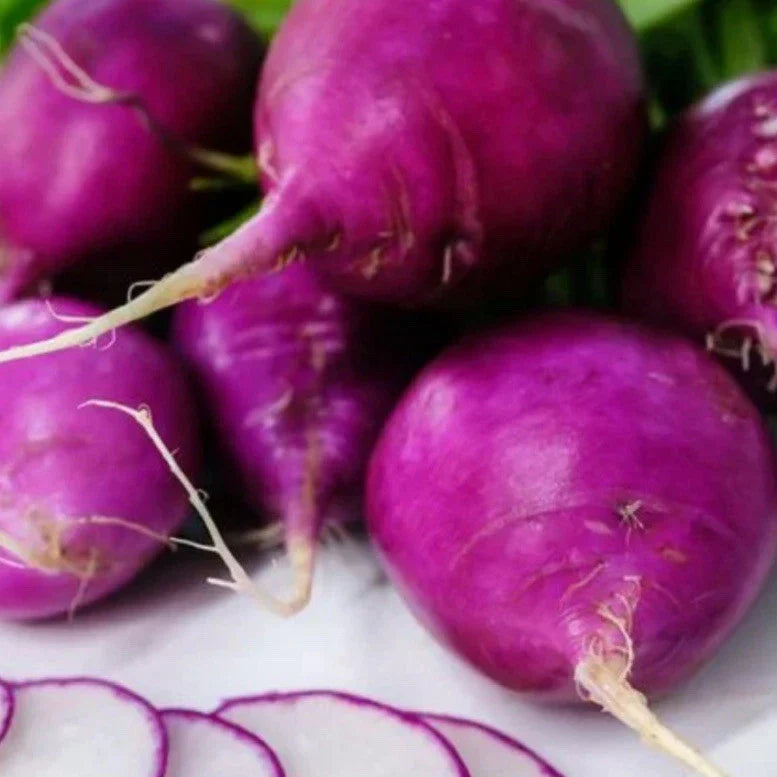Mixed Radish Seeds - 200+ Seeds - Womack Farm Gourmet Radish Blend
