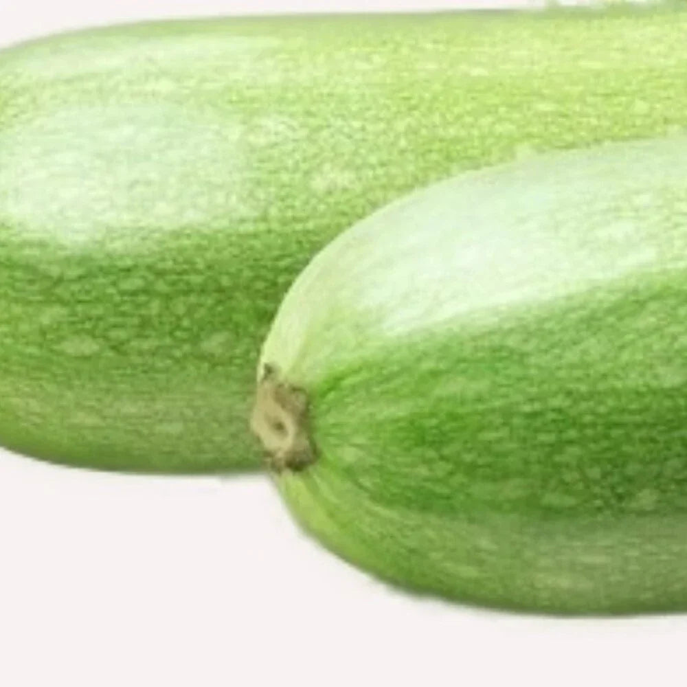 Italian Zucchini Seeds - Non-GMO Heirloom Cucurbita pepo for Garden, Container, or Vegetable Patch