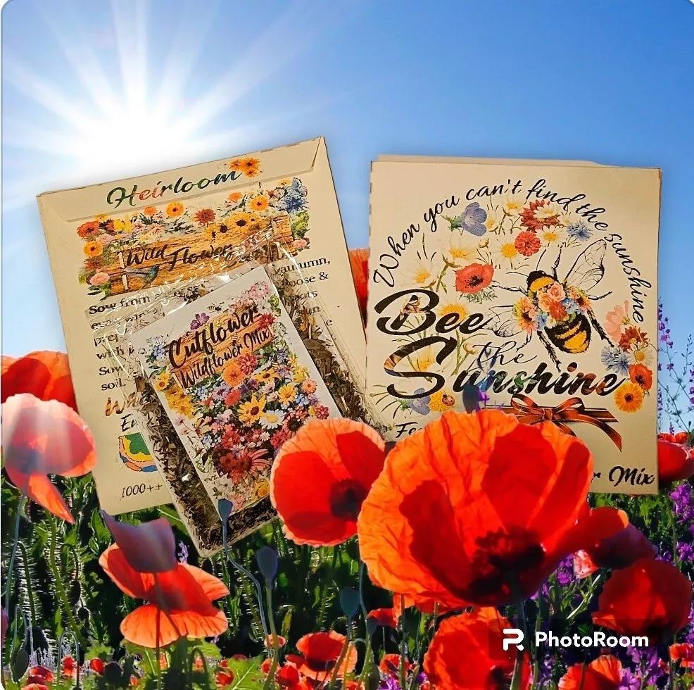 Wildflower Seeds - 1000+ Pollinator-Friendly Fragrant Mix for Gardens and Habitat Support