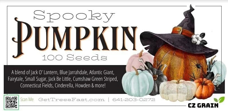 Spooky Blend Pumpkin Seeds - 100 Mixed Cucurbita pepo Seeds for Halloween Planting