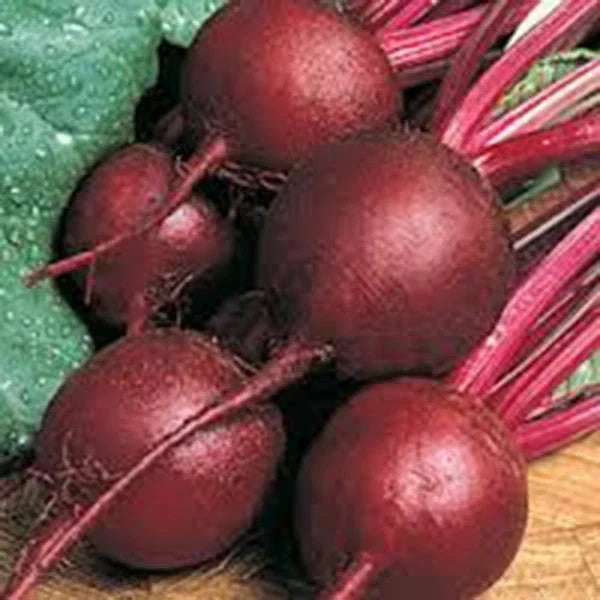 Ruby Queen Beet Seeds - Heirloom Non-GMO Dark Red Sweet Beta vulgaris Seed Packet