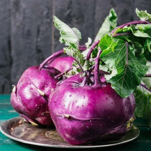 Purple Vienna Kohlrabi Seeds - 1000 Non-GMO Heirloom Brassica oleracea for Home Gardening
