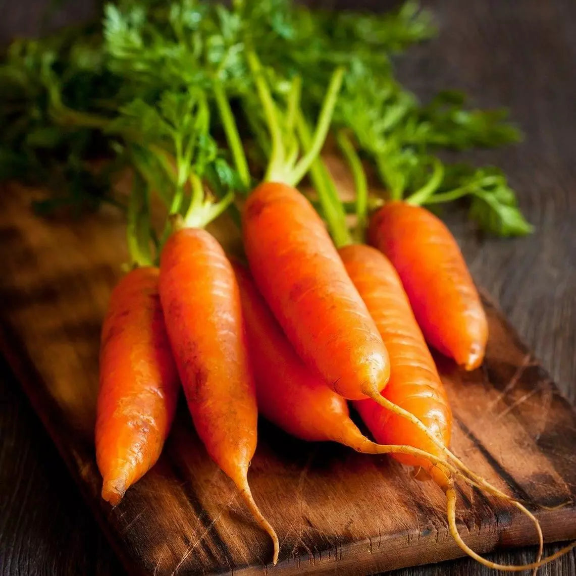 Little Fingers Carrot Seeds - Nantes Type, Baby Carrots, Organic, Non-GMO, Heirloom, Vegetable Gardening Seeds
