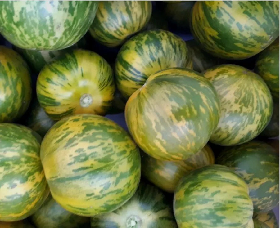 Green Zebra Tomato Seeds 50 Ct Heirloom Non-GMO Vegetable Garden Seeds Solanum lycopersicum