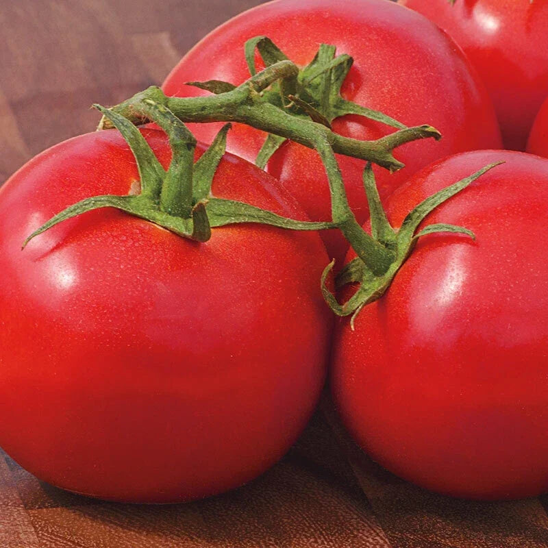 Early Girl Tomato Seeds – Heirloom Solanum lycopersicum, Fast-Growing, High Yield, Perfect for Container & Garden Planting