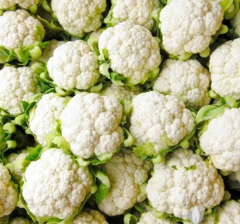 Cauliflower Seeds 300+ Non-GMO Snowball Y Improved Vegetable Garden Seeds Brassica oleracea