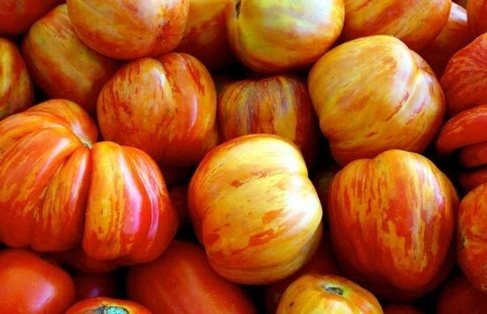 Old German Tomato Seeds – Heirloom Solanum lycopersicum, Juicy Large Fruits, Vegetable Seed Pack for Home Gardening