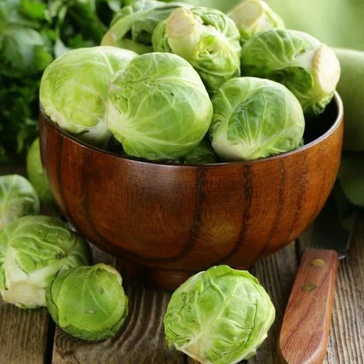 Long Island Improved Brussels Sprouts Seeds - 1000 Non-GMO Heirloom Brassica oleracea var. gemmifera for Home Garden and Vegetable Growing