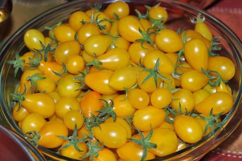 Yellow Pear Tomato Seeds - Heirloom, Non-GMO - 10+ Fresh Seeds - Solanum lycopersicum
