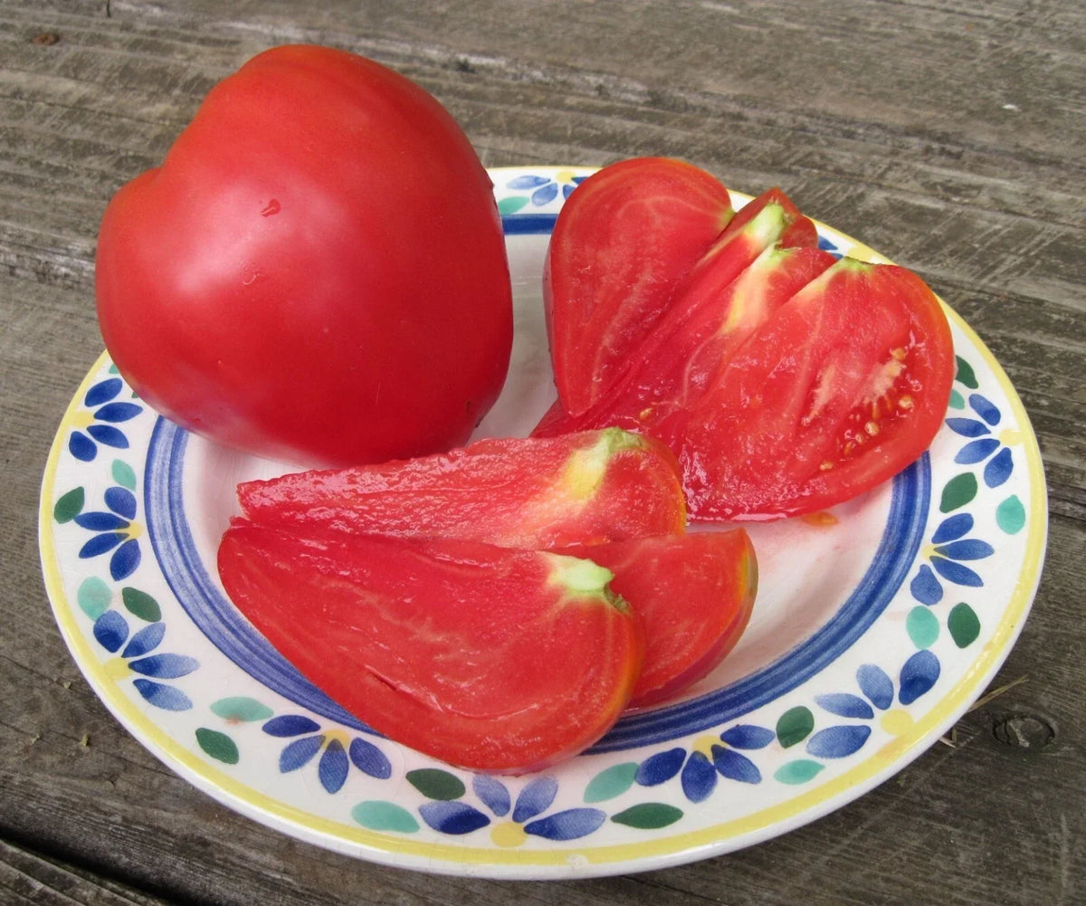 Anna Russian Tomato Seeds - Heirloom Organic NON-GMO Solanum lycopersicum, Rare Variety, Salad & Canning, 30+ Seeds
