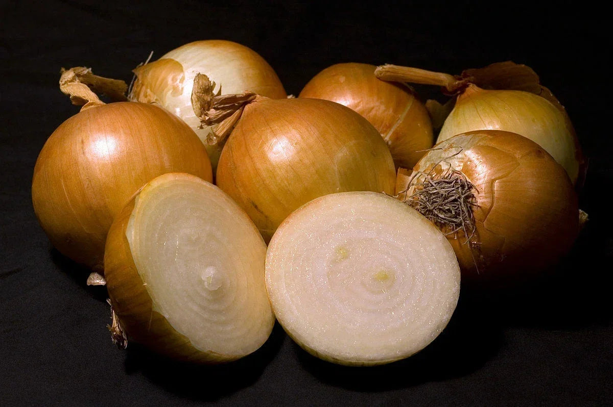 Walla Walla Sweet Onion Seeds - Heirloom Non-GMO Allium cepa - 1000 Pack for Home Garden, Salad, Cooking