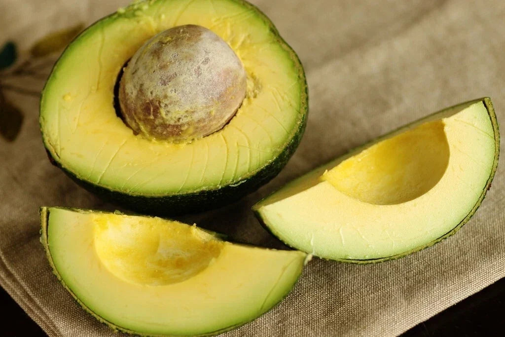 Rare Cleopatra Avocado Cuttings - 3 Wax-Dipped Scions, Persea americana 'Cleopatra' for Container Gardening
