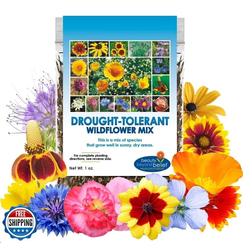 Drought Resistant Wildflower Seeds - 1oz Bulk Mix - Native Open-Pollinated Flower Seeds for Low-Water Gardens