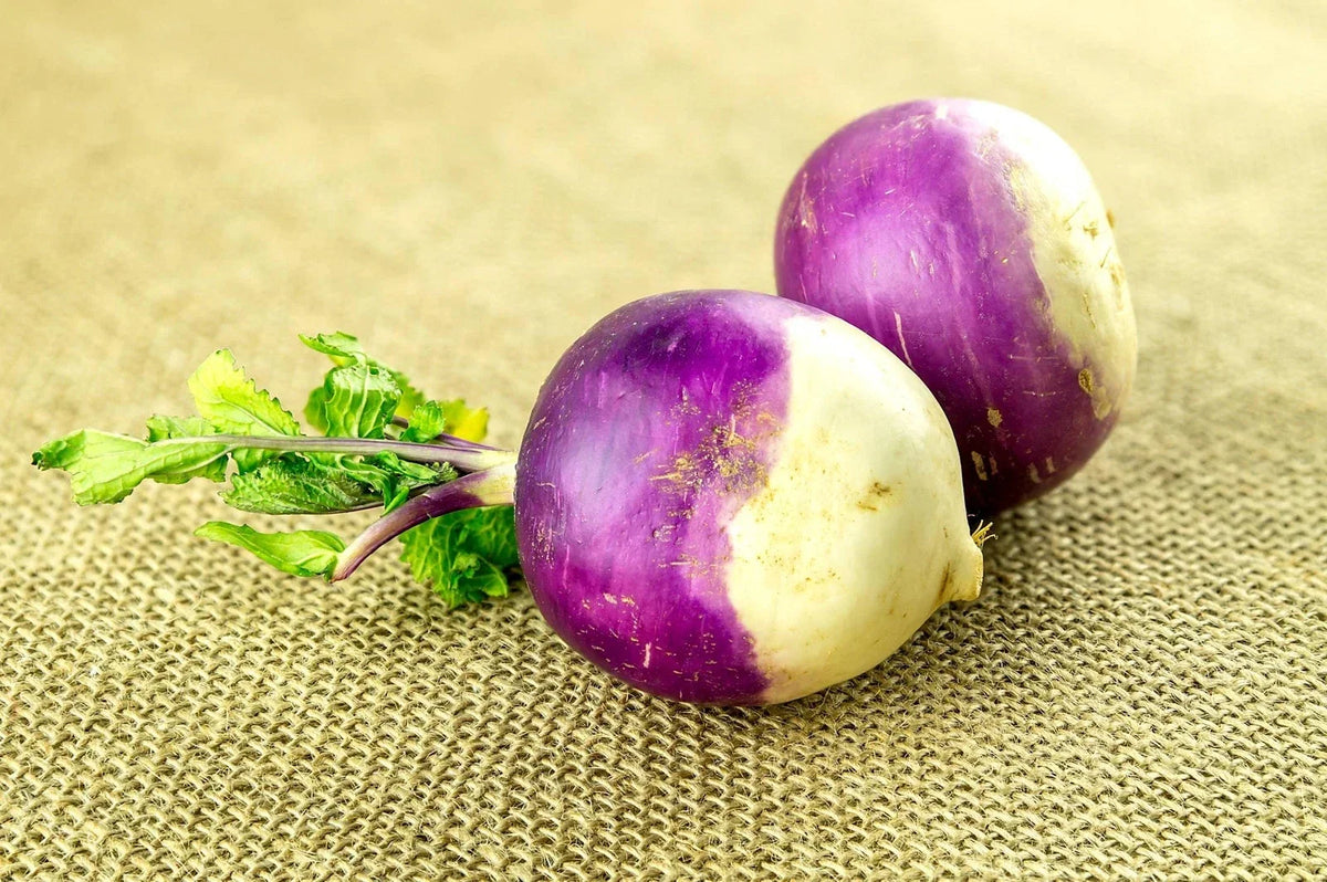 American Purple Top Rutabaga Seeds - Organic Non-GMO Brassica napus for Home Gardening, Nutritious Roots, Easy to Grow
