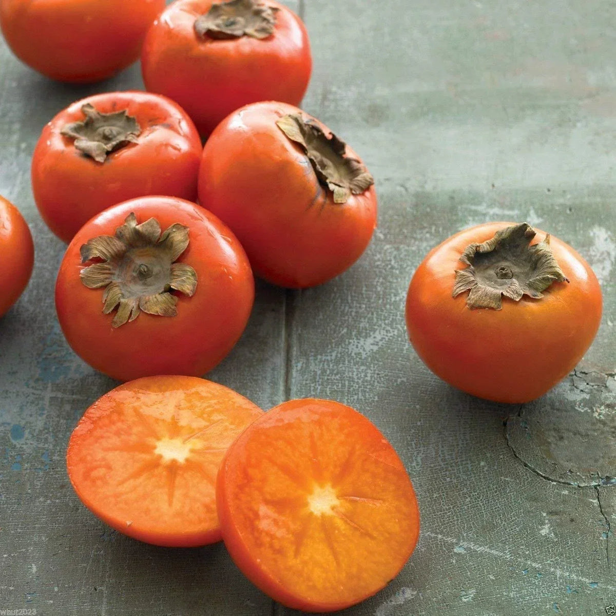 American Persimmon Seeds - 10 Count - Diospyros virginiana - Edible Fruit Tree