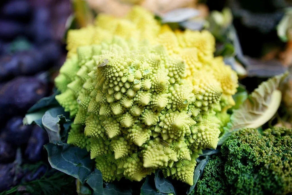 Romanesco Broccoli Seeds - 1000 Non-GMO Heirloom Seeds Brassica Oleracea Vegetable for Home Garden
