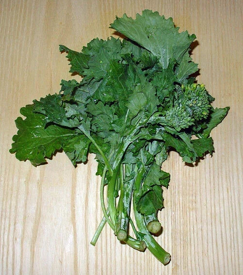 Broccoli Raab Seeds - 1000 Count - Rabe Rapini Brassica rapa subsp. rapa Heirloom Vegetable Garden Seeds