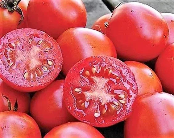 Siberian Tomato Seeds - Organic Heirloom Non-GMO - Solanum lycopersicum - Fresh Garden Seeds for Home Gardening