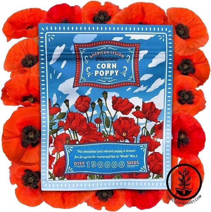 Corn Poppy Wildflower Seeds - 190,000+ Non-GMO Papaver rhoeas Red Poppy Seeds for Wildflower Gardens and Meadows