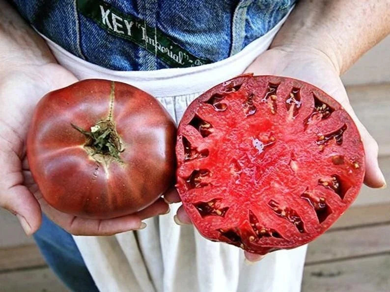 Cherokee Purple Tomato Seeds - Heirloom Non-GMO Organic Seeds for Home Gardening - Solanum lycopersicum