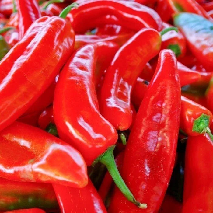 Red Marconi Sweet Pepper Seeds – Non-GMO Vegetable Seeds, Capsicum annuum, 50+ Pack, Full Sun, USA Free Shipping