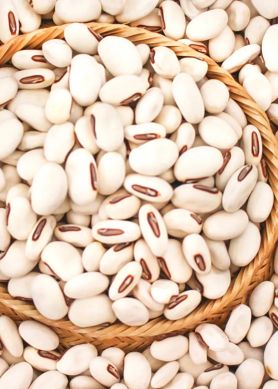 Organic Jack Bean Seeds | Wonder/Sword Variety | Canavalia ensiformis | 20 Seeds for Gardening & Soil Enrichment