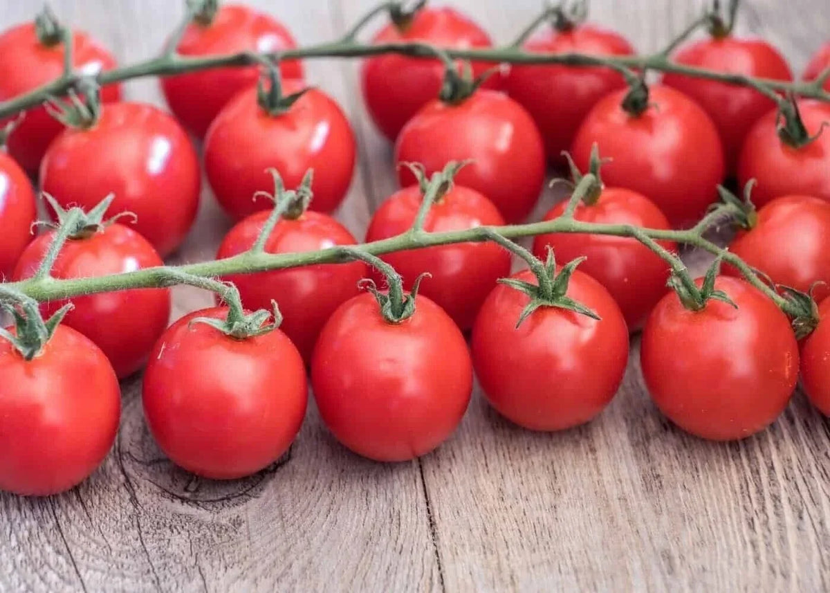 Sweetie Cherry Tomato Seeds - Organic Heirloom Solanum lycopersicum - Juicy, Sweet, Red Cherry Tomatoes, Pack of 120+ Seeds