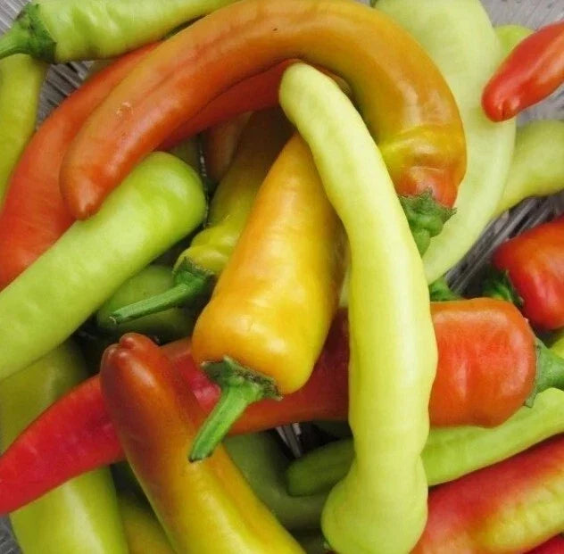Hungarian Wax Hot Pepper Seeds - 400 Non-GMO Heirloom Capsicum annuum for Spicy Peppers, Hot Banana Pepper Seeds