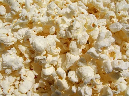 Popcorn Seeds - Pennsylvania Dutch Butter Variety - Non-GMO Zea mays everta for Planting, Fluffy, Buttered Popcorn