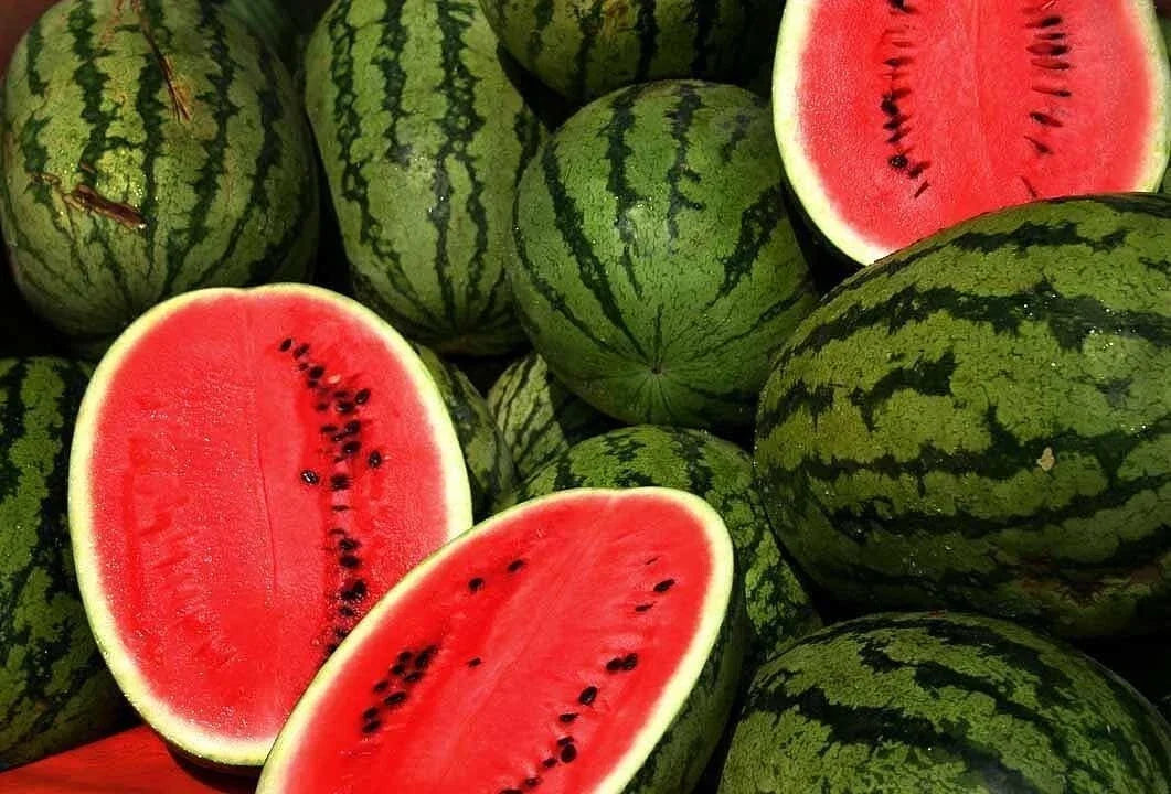 Kleckley's Sweet Watermelon Seeds - Heirloom Citrullus lanatus - Large, Juicy, Super Sweet Fruit, 100+ Seeds for Home Garden