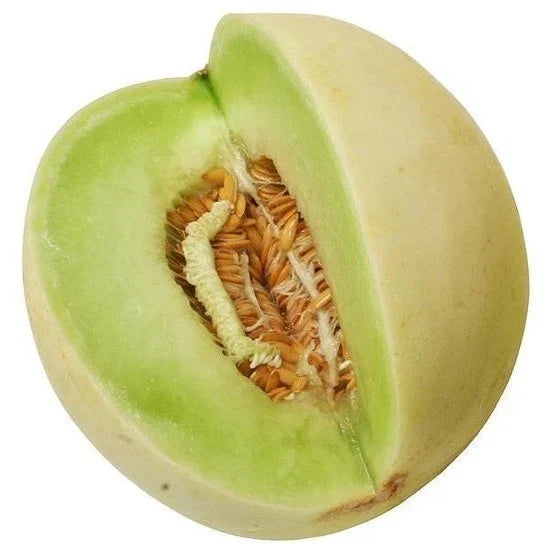 Organic Green Flesh Honeydew Seeds - Heirloom Cucumis melo for Home Garden, Non-GMO, 50+ Seeds