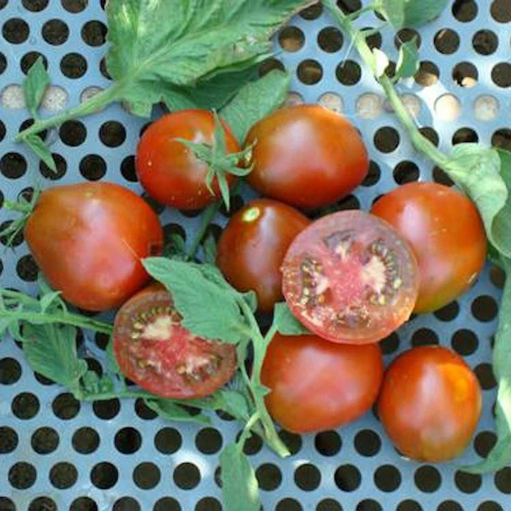 Black Truffle Tomato Seeds - 100 Pack, Indeterminate, Non-GMO Heirloom, Lycopersicon esculentum, Dark Colorful Tomatoes for Garden & Cooking