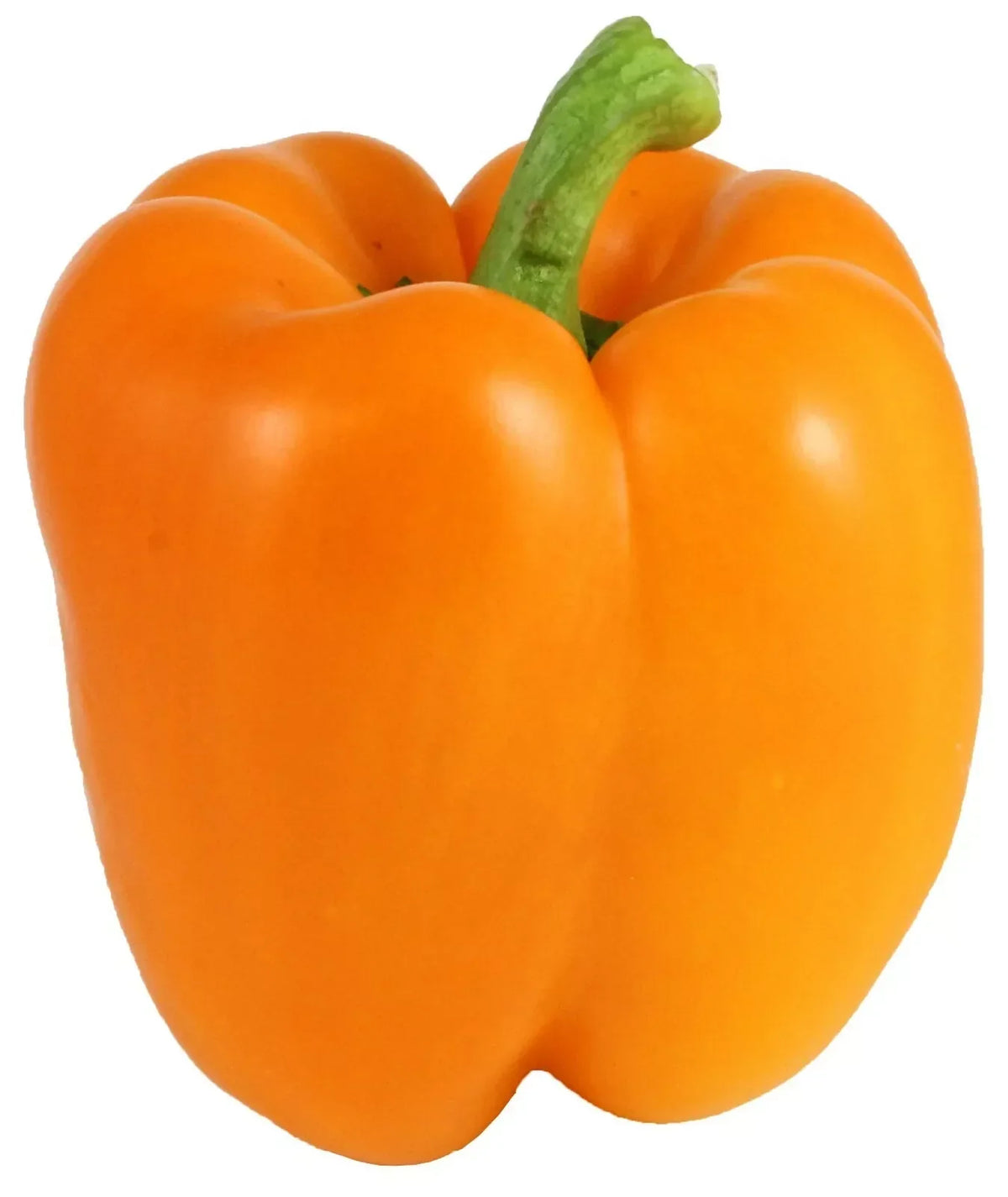 Orange Bell Pepper Seeds - 50+ Non-GMO Heirloom Capsicum annuum for Home Garden, Fresh Vegetables, Container Growing