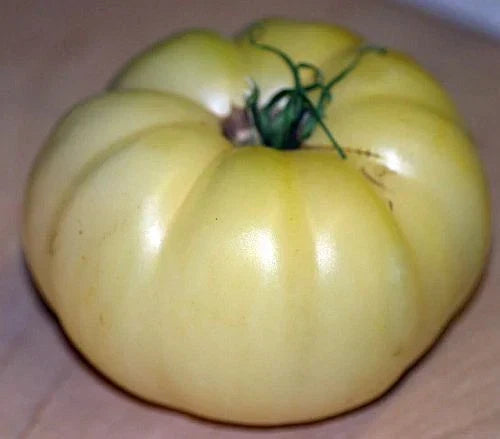 Great White Tomato Seeds - 20 Count Heirloom Solanum lycopersicum