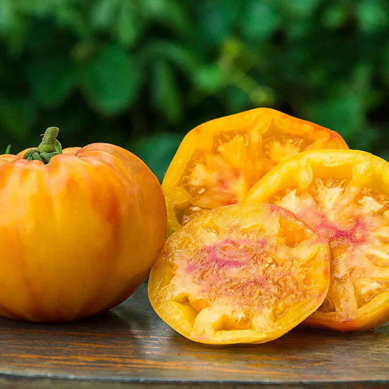 Gold Medal Tomato Seeds - Ruby Gold Beefsteak Variety, Non-GMO, Slicing Tomatoes, Solanum lycopersicum