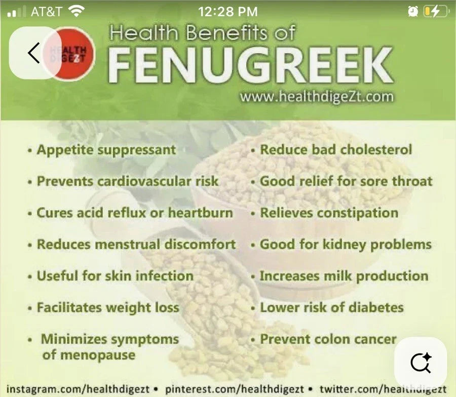 Fenugreek Seeds - 200 Non-GMO Open Pollinated Trigonella foenum-graecum Seeds