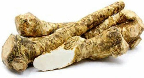 Fresh Horseradish Root 4 oz - Whole Armoracia rusticana for Cooking & Planting - Locally Sourced Illinois