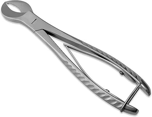 Plaster Nipper, Cow Horn Jaws 8"