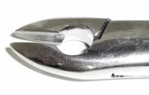 Dental Forcep #99A