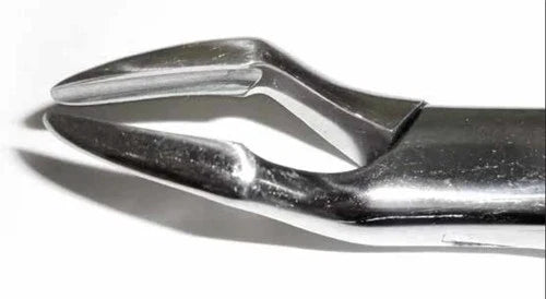 Dental Forcep #32A