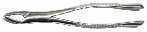Dental Forcep #151AS