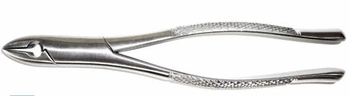 Dental Forcep #1