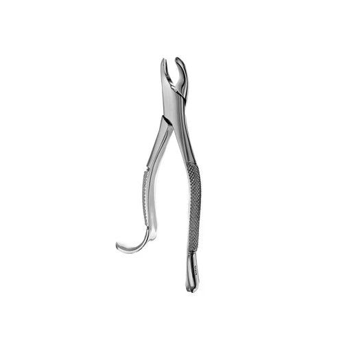 Dental Forcep #18R