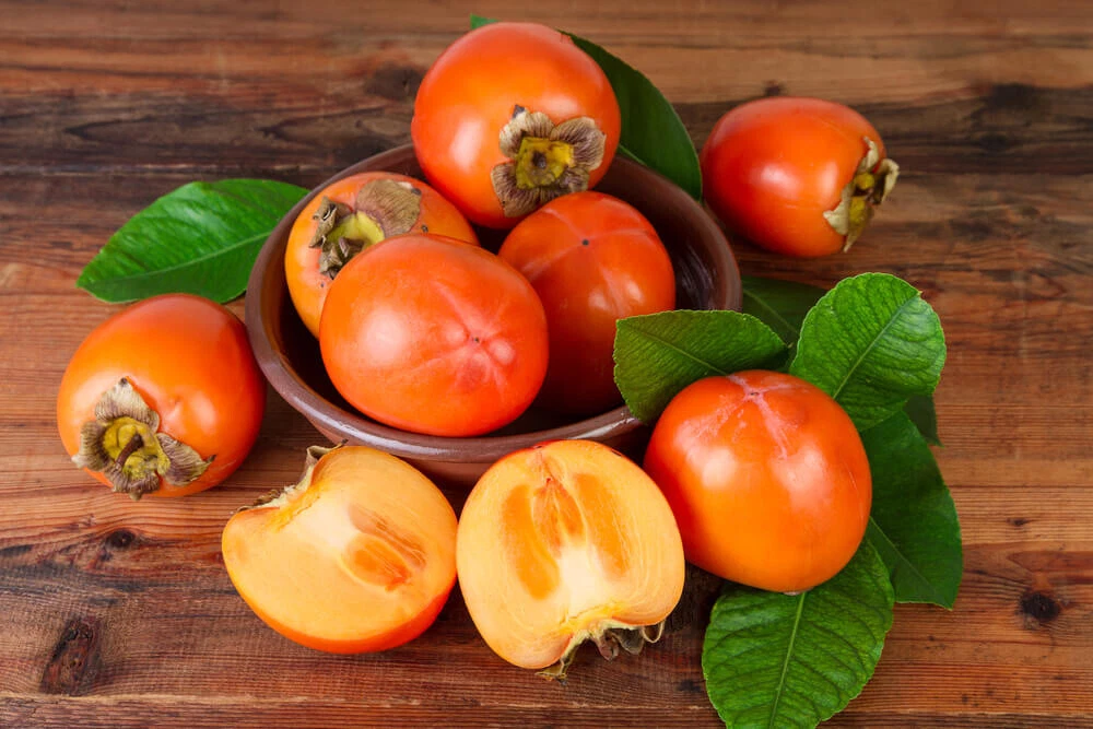 Kaki Persimmon Cuttings Unrooted for Grafting Diospyros Kaki Tomel Fruit Tree Propagation