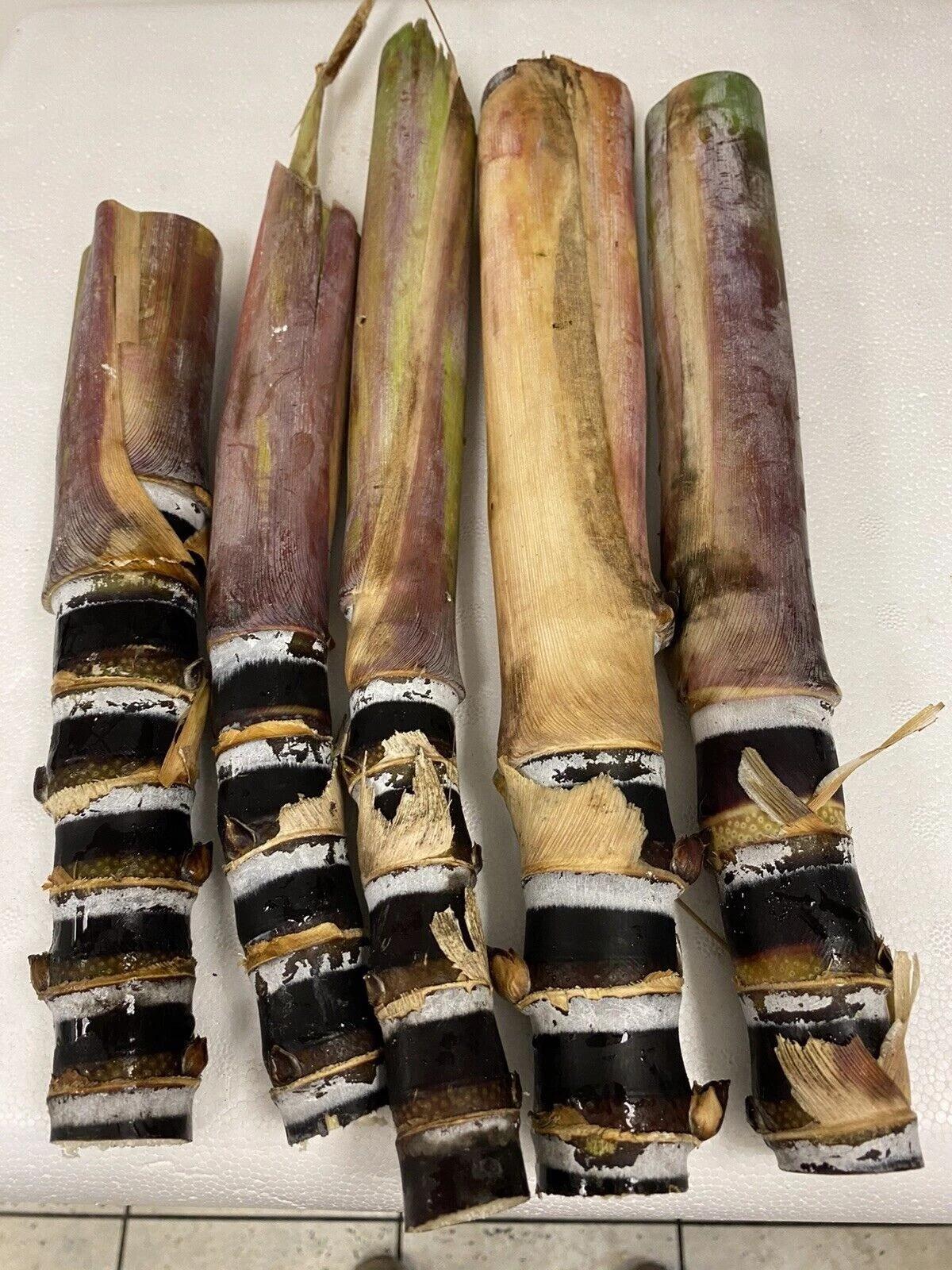 Unrooted Soft Chew Black Sugarcane Cuttings for Propagation Saccharum officinarum Tropical Grass