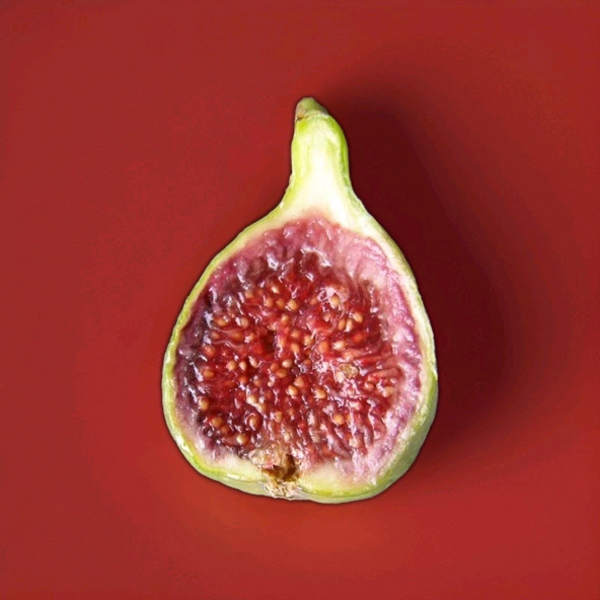 Strawberry Verte Fig Cutting Live, 6-8 Inch Unrooted Ficus carica for Rooting & Grafting