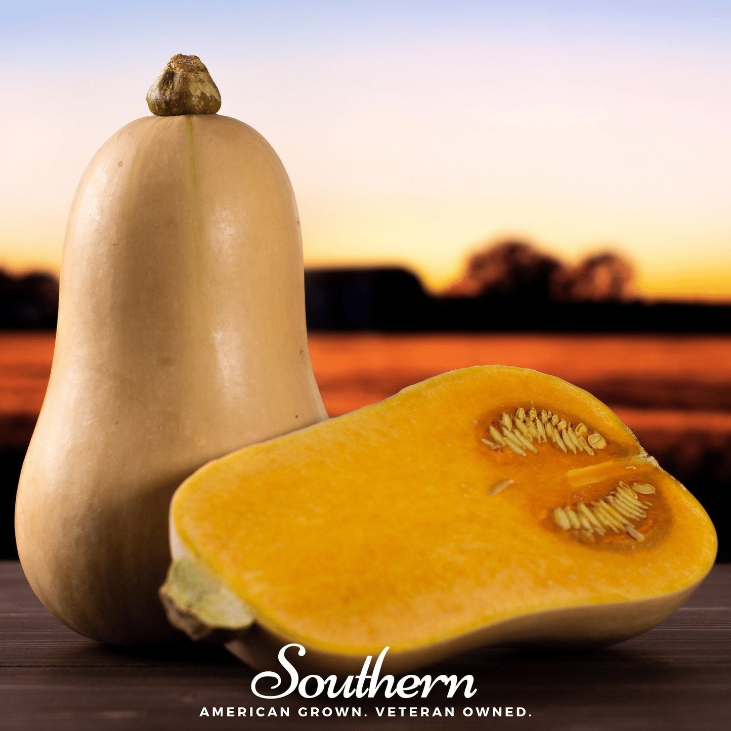 Waltham Butternut Squash Seeds – Heirloom, All-American Selections Winner, Nutty Flavor, Smooth Flesh, Cucurbita moschata, 25 Seeds