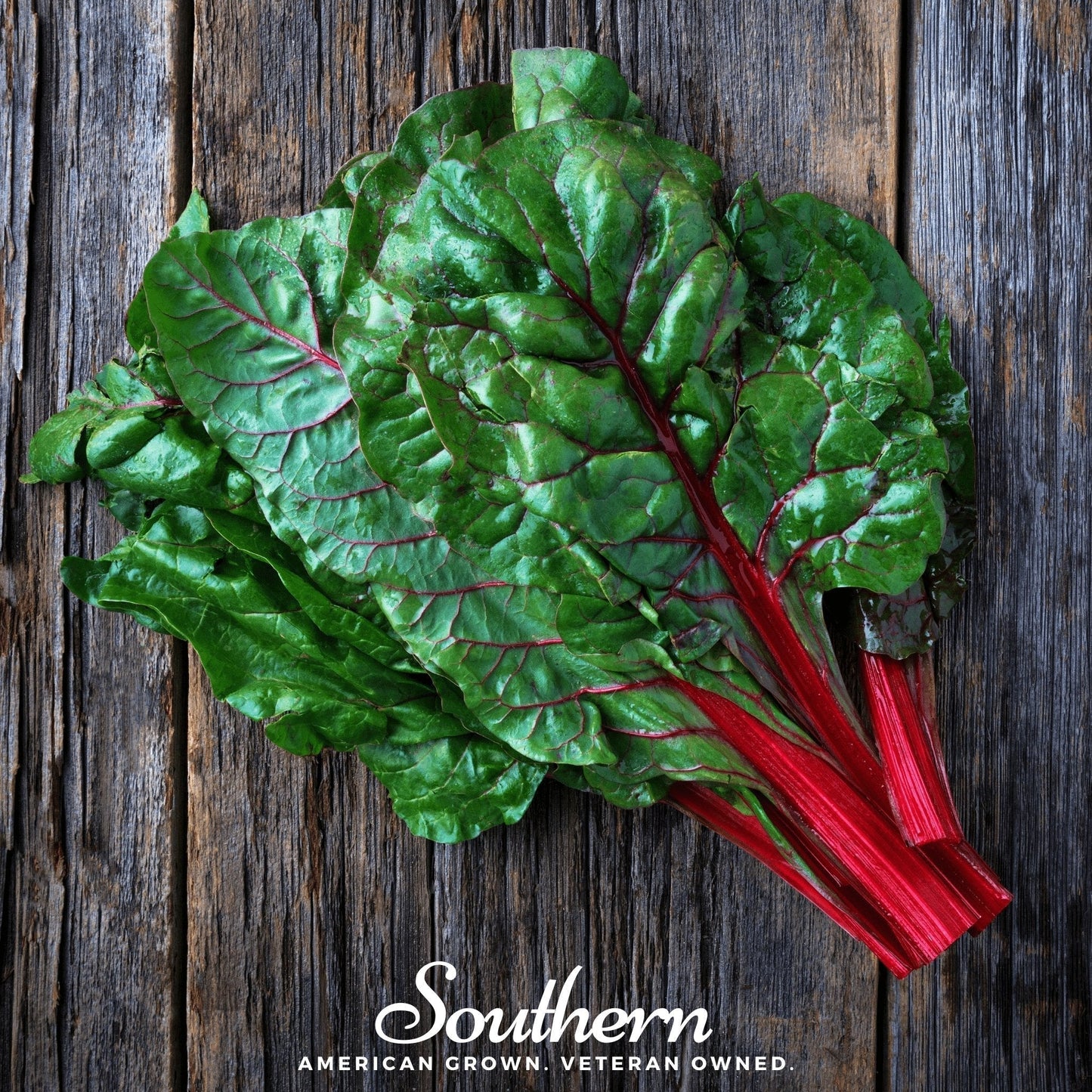 Ruby Red Swiss Chard Seeds – Edible Ornamental, Heirloom, Beta vulgaris, 100 Seeds