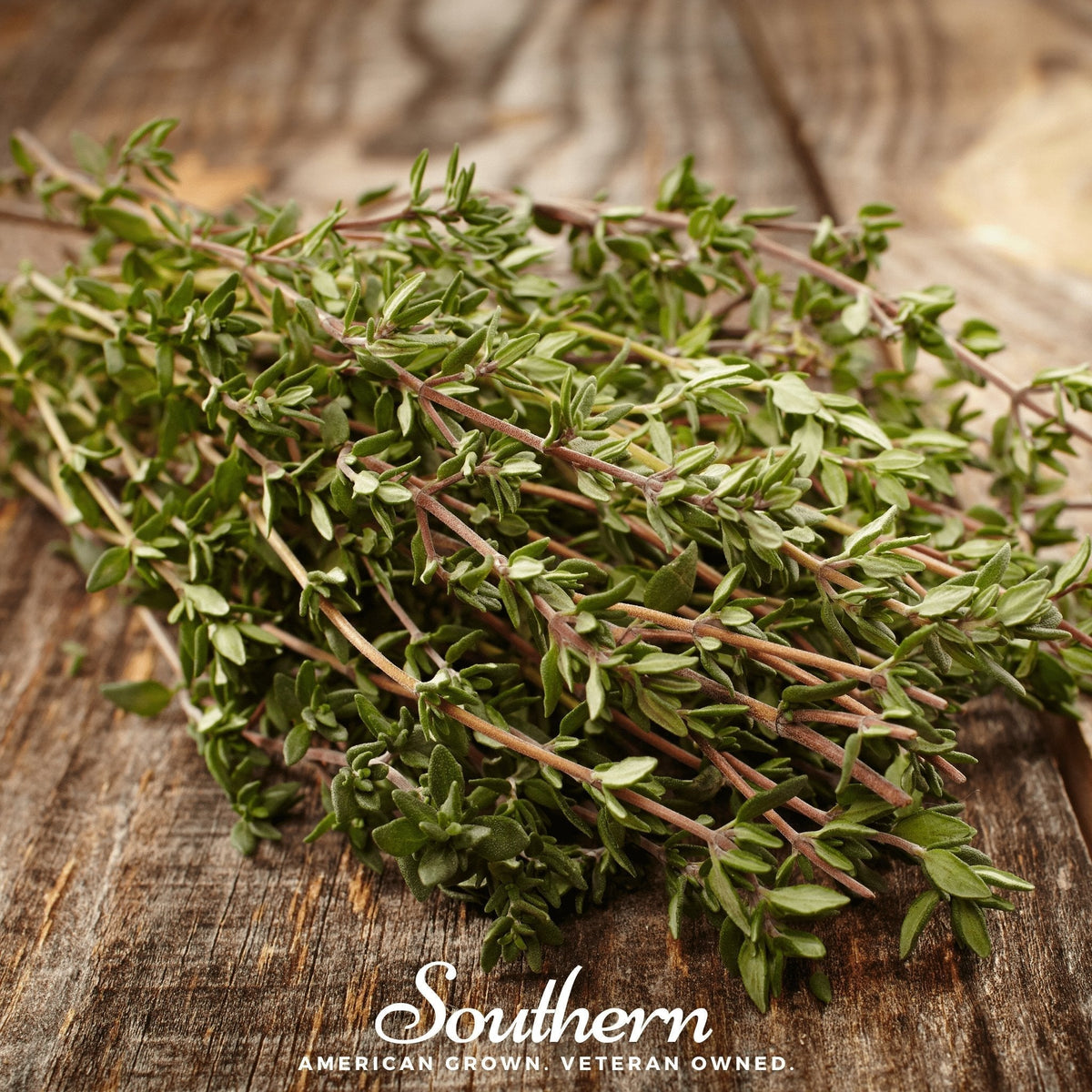 Common Thyme Seeds - 250 Heirloom Thymus vulgaris Herb for Cooking & Garden, Drought Tolerant, Perennial, Evergreen Shrub